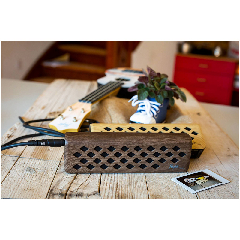 Фото FLIGHT Tiny 6 Walnut - Комбоусилитель для укулеле Флайт