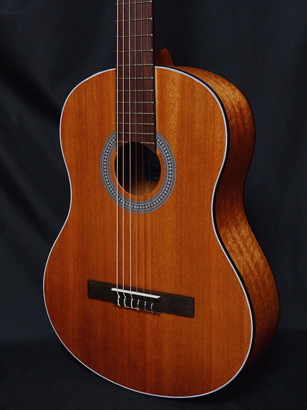 Фото Гитара классическая Livingstone Opera NS