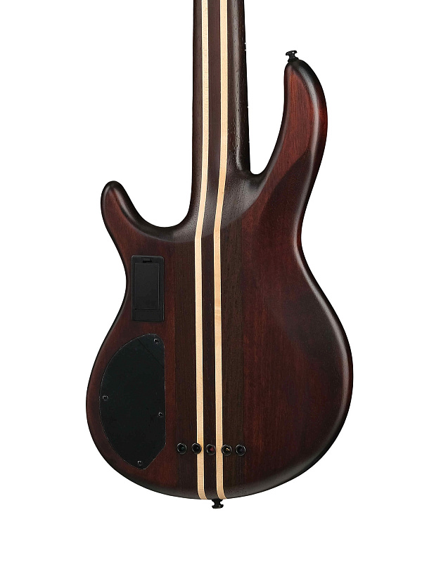 Фото Бас-гитара Cort A5-Ultra-Ash-WCASE-ENB Artisan Series