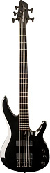 Washburn BB5(GM, DBL)