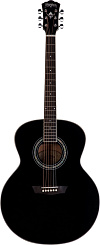 WASHBURN WJ5S-B