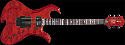 B. C. Rich NTWAGTR