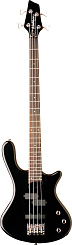 Washburn T14 B