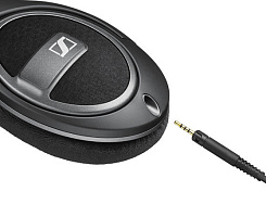 Sennheiser HD 559