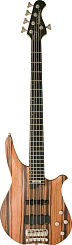 5-струнный бас Washburn CB5 RG