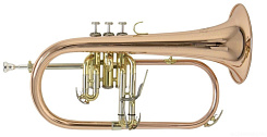 BACH FH-501