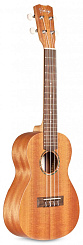  Cordoba Protégé U1 Ukulele