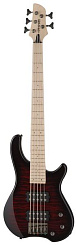 Fernandes T5X(08)BCS