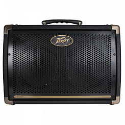 Peavey Ecoustic E208