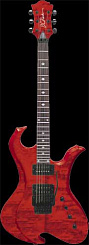 B. C. Rich NTWAGTBK