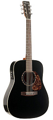 Norman PROTEGE B18 CEDAR BLACK PRESYS