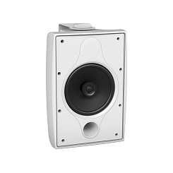 Всепогодная акустическая система TANNOY DVS 6 WH