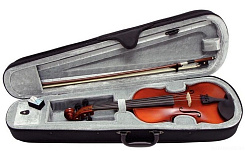 GEWAPure Violin Outfit EW 4/4