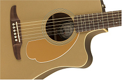 FENDER Redondo Plyr Bronze Satin WN