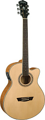 WASHBURN EA20