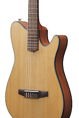 Электроакустическая гитара IBANEZ FRH10N-NTF