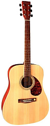 TENSON D10 Dreadnought Natural