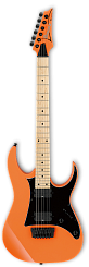 Электрогитара IBANEZ RG331M-BOR