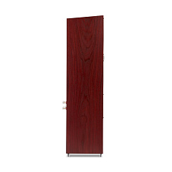 Напольная акустика Martin Logan Motion 40i Red Walnut