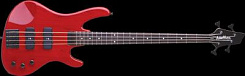 Washburn XB120 TR