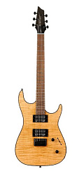 Godin 32501