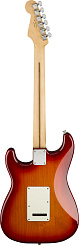 FENDER PLAYER Stratocaster Plus Top MN Aged Cherry Burst