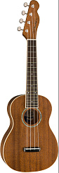 FENDER UKULELE ZUMA NAT