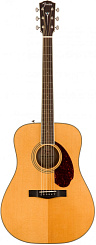 Fender PM-1E Dread Std Nat