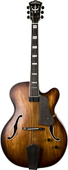 WASHBURN J600