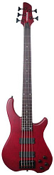 Fernandes T5D(06)WRS