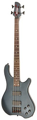 Fernandes T4D(06)GBS